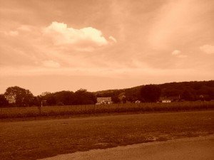 20150607_143434_resized_1