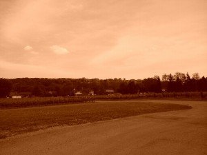 20150607_143437_resized_1