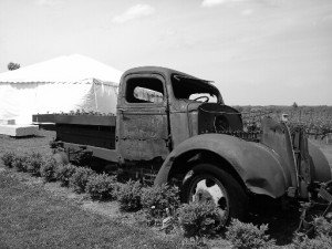 20150607_143659_resized_1